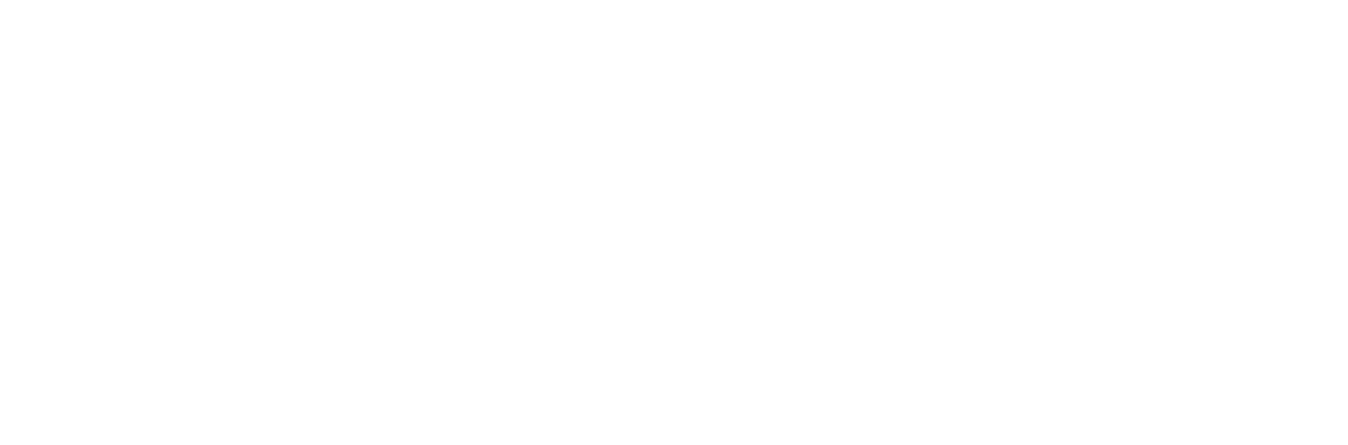 Logo Idunox