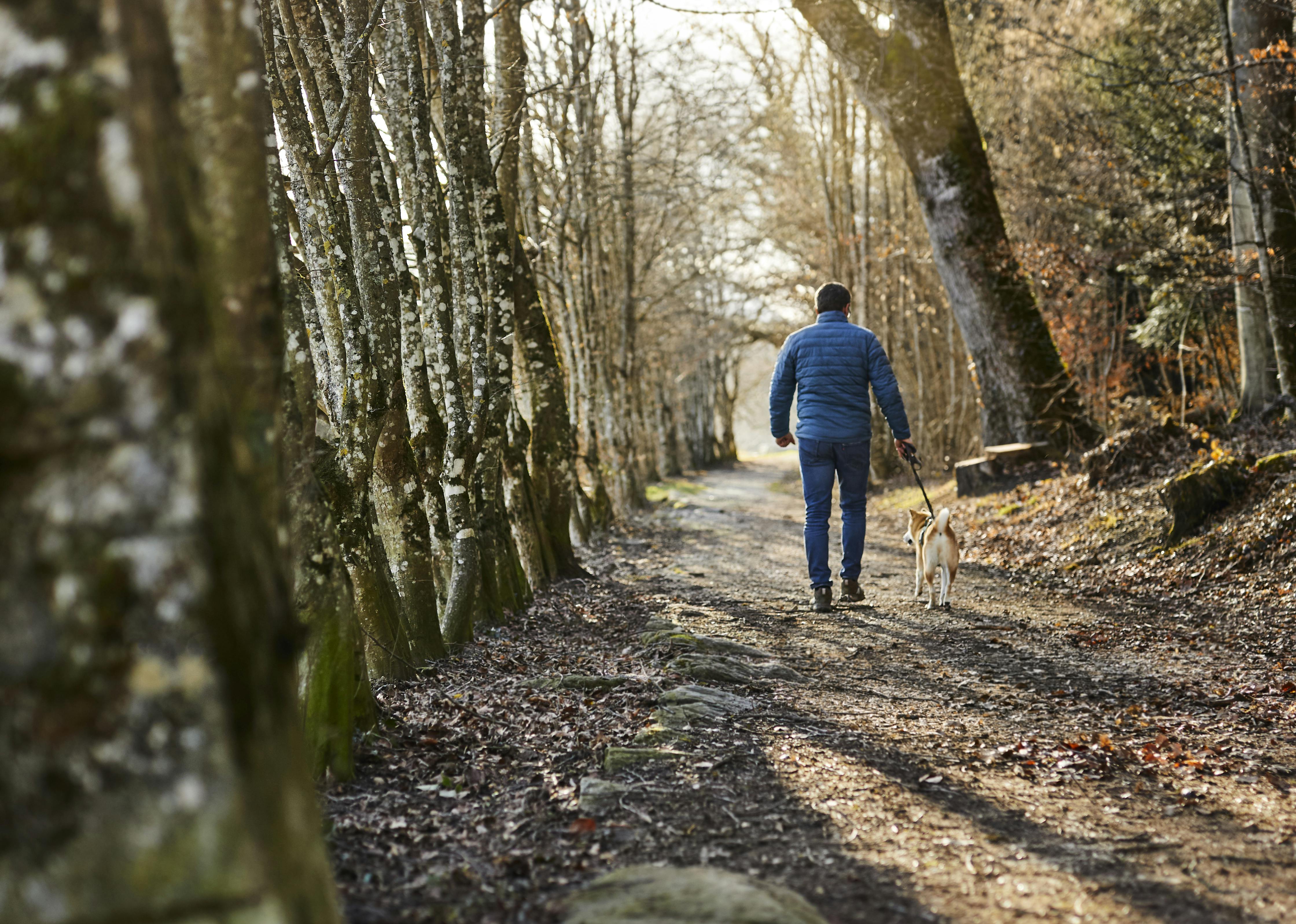 Mann geht mit seinem Hund im Herbst im Wald spazieren