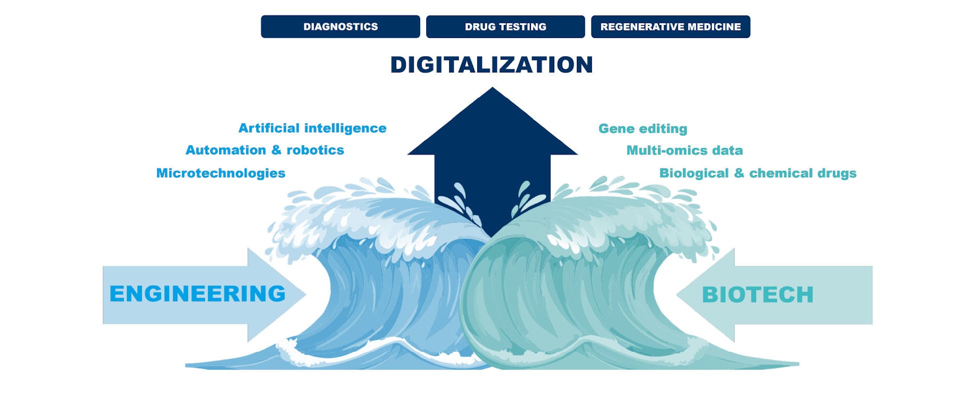 Visual about the megatrend bioconvergence, which associates engineering and biotech expertise with digitalization.