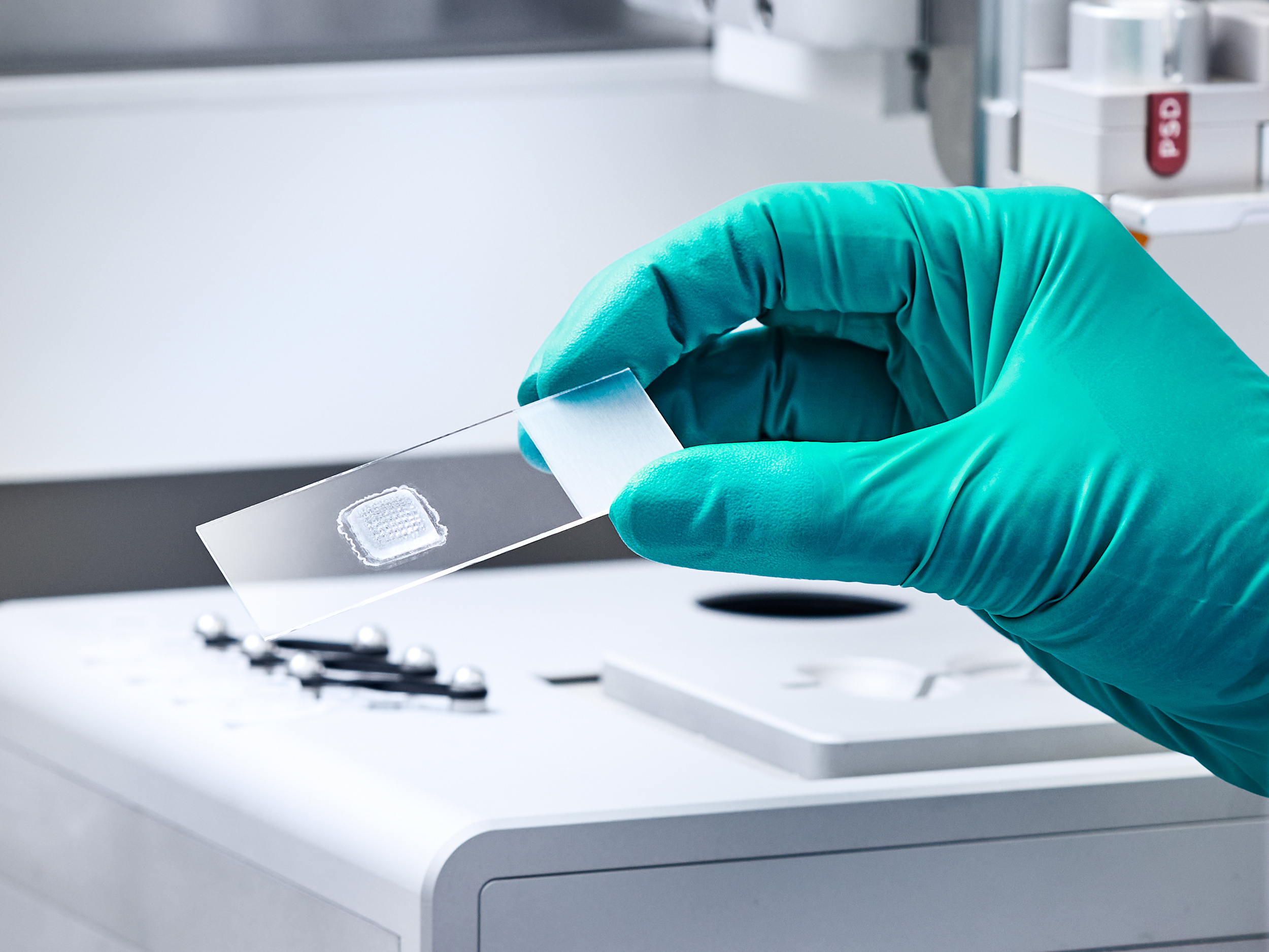 Bioprinted pattern using dynamic formulation