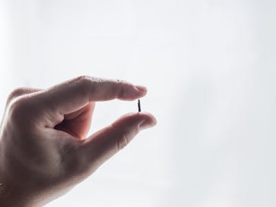 Hand, die den implantierbaren Biosensor CERES zwischen Finger und Daumen hält.