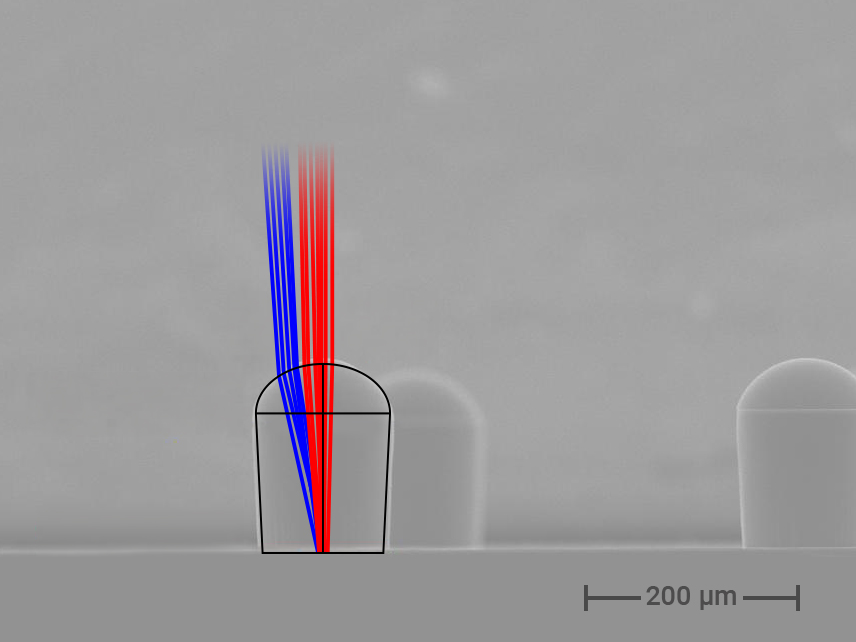 SEM image and ray-tracing simulations for two wavelengths