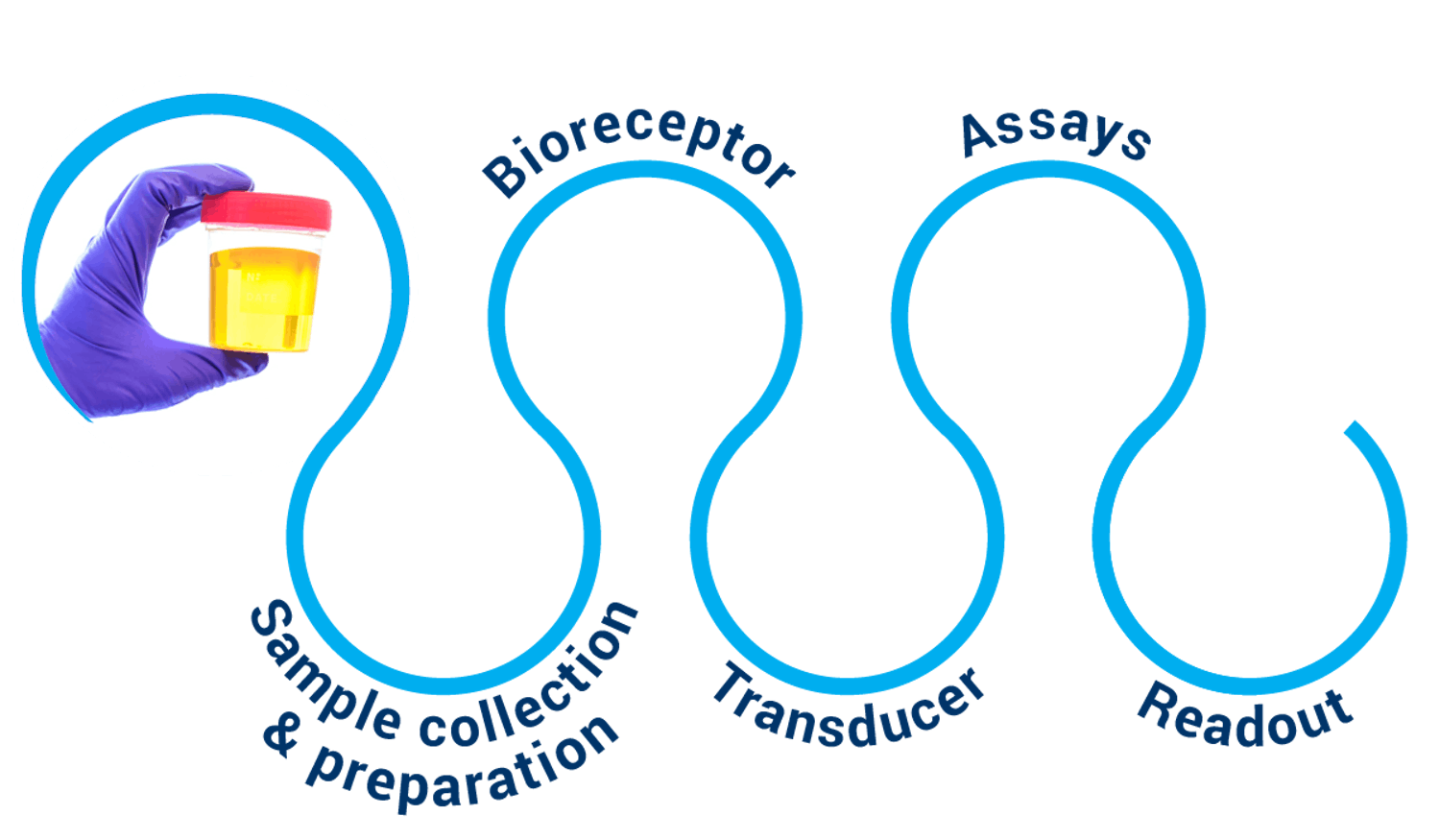 CSEM’s biosensing tactical roadmap: sample collection & preparation, bioreceptor, transducer, assays, and readout