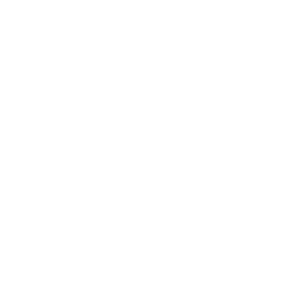 Icon customer centricity