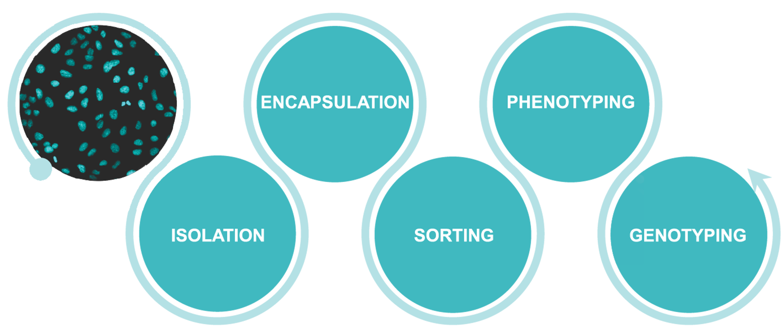 Single-cell technologies roadmap
