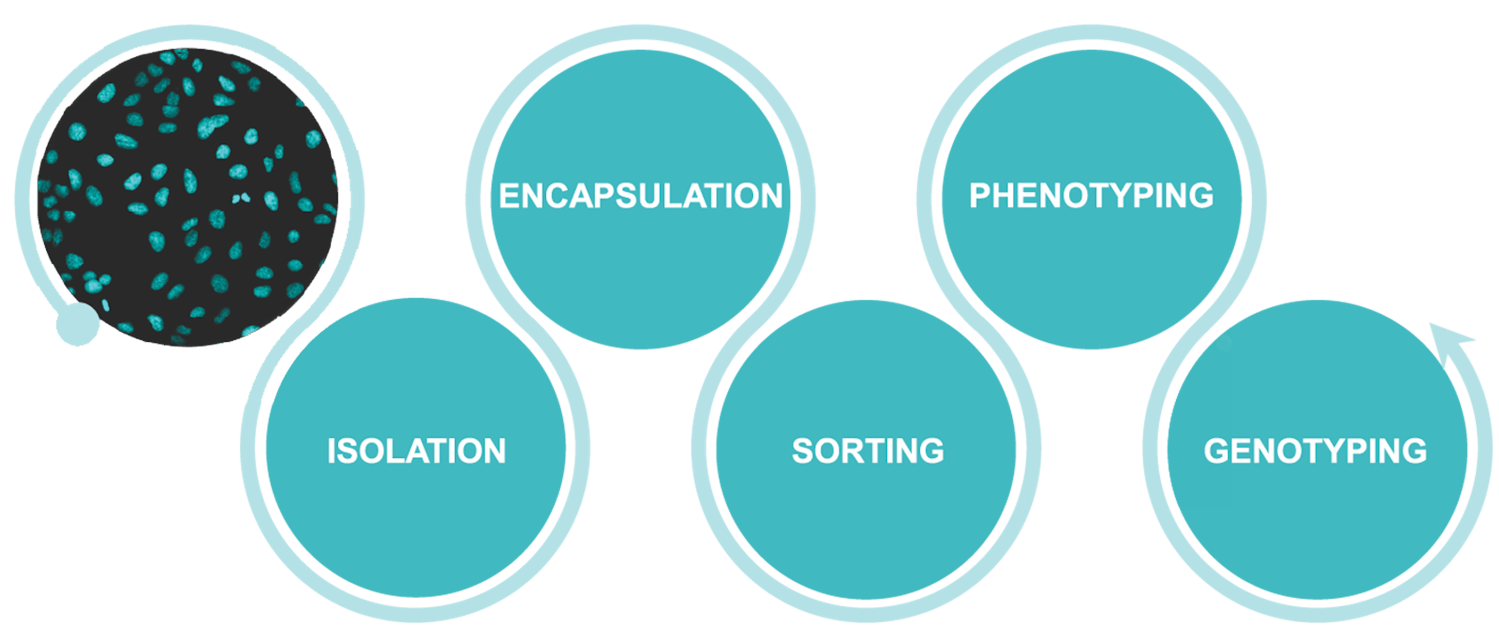 Single-cell technologies roadmap