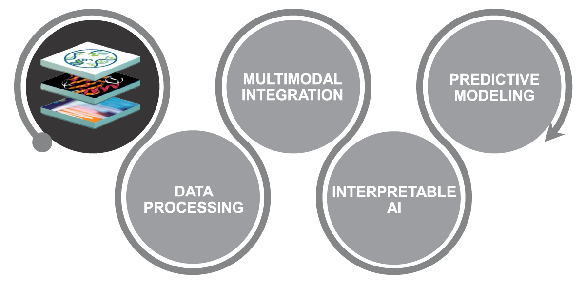 Roadmap of AI for life sciences: data processing, multimodal integration, interpretable AI, predictive modeling