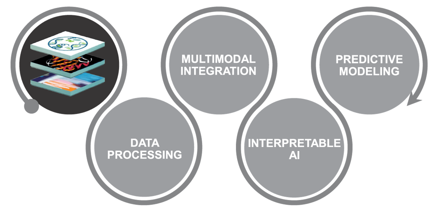 Roadmap of AI for life sciences: data processing, multimodal integration, interpretable AI, predictive modeling