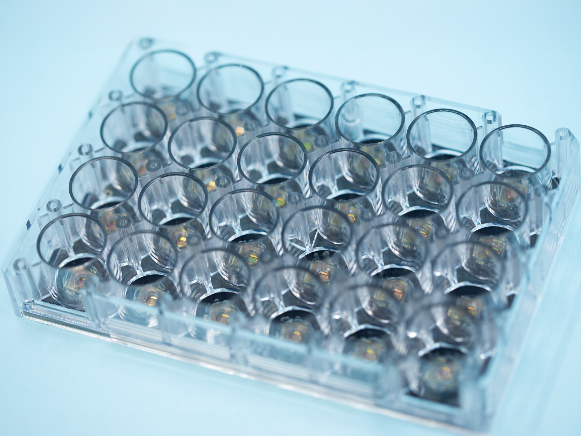 Multi-well platform "Brain-on-Chip"