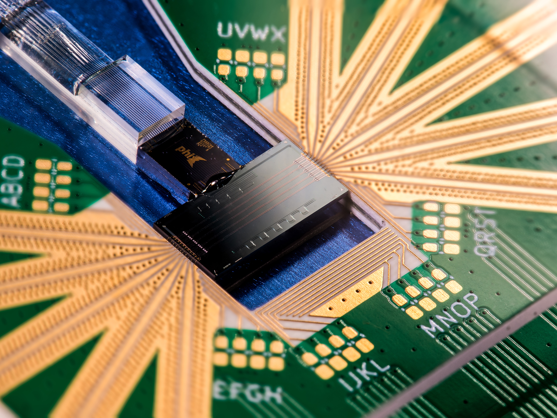 TFLN modulators on a lithium niobate on Insulator (LNOI) chip