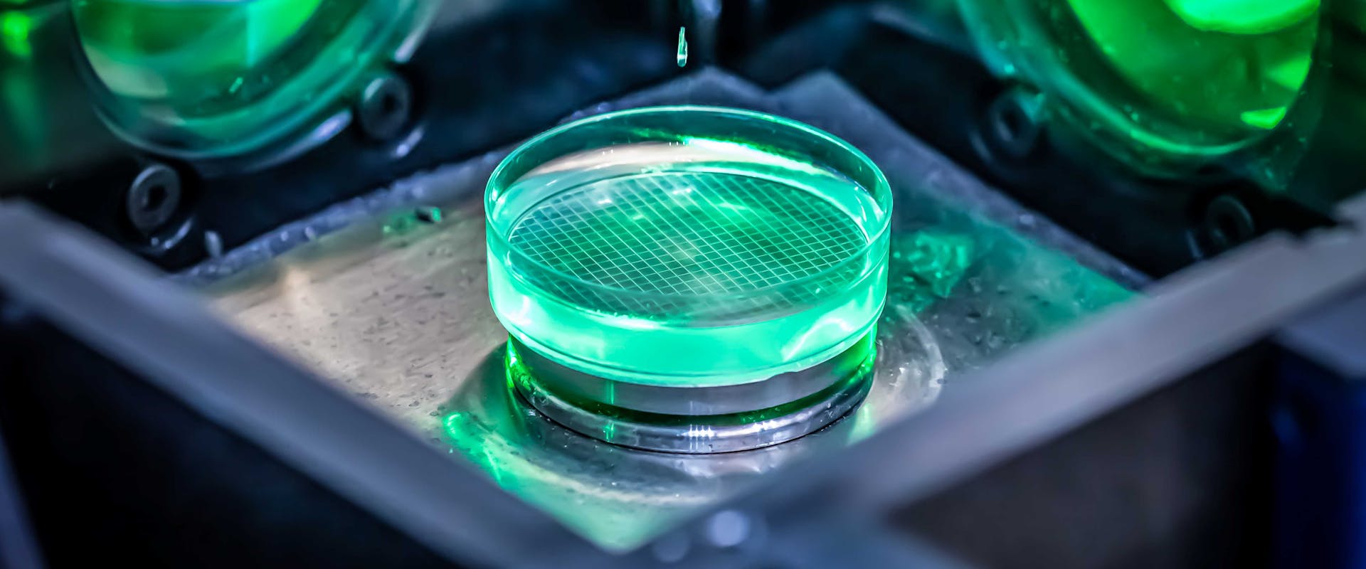 Optical systems for sensing