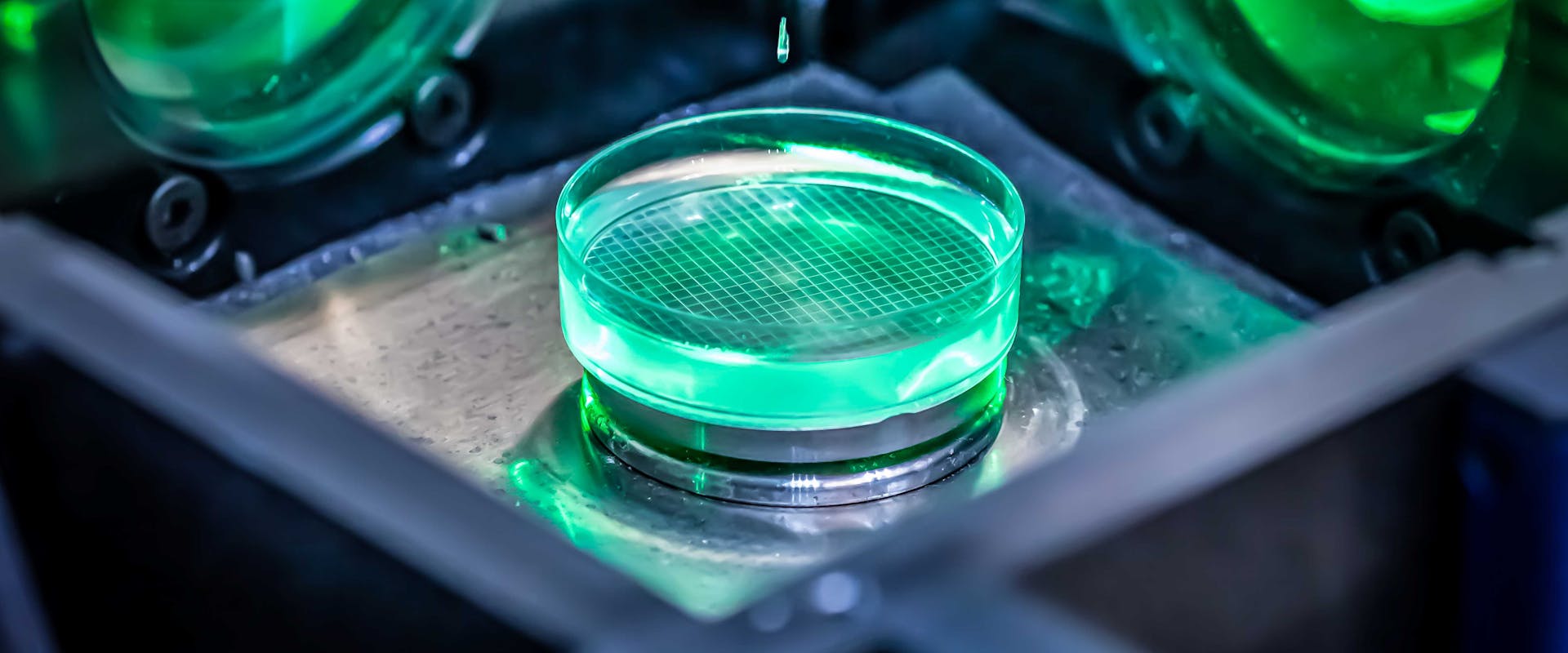 Optical systems for sensing