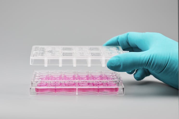 © CSEM - Microfluidics smart lids