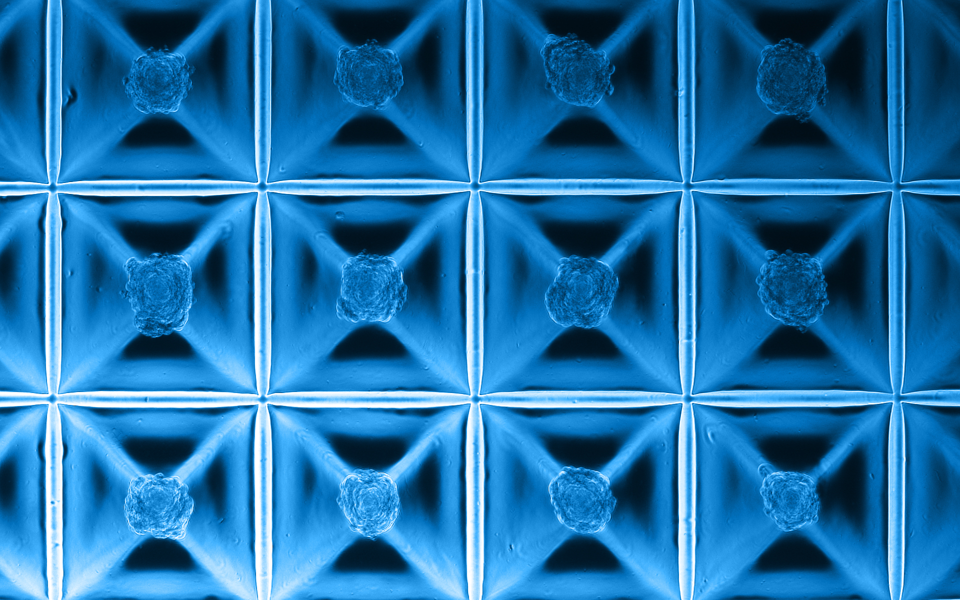 Top view of a collection of high-quality organoids classified by a robotic liquid handler.