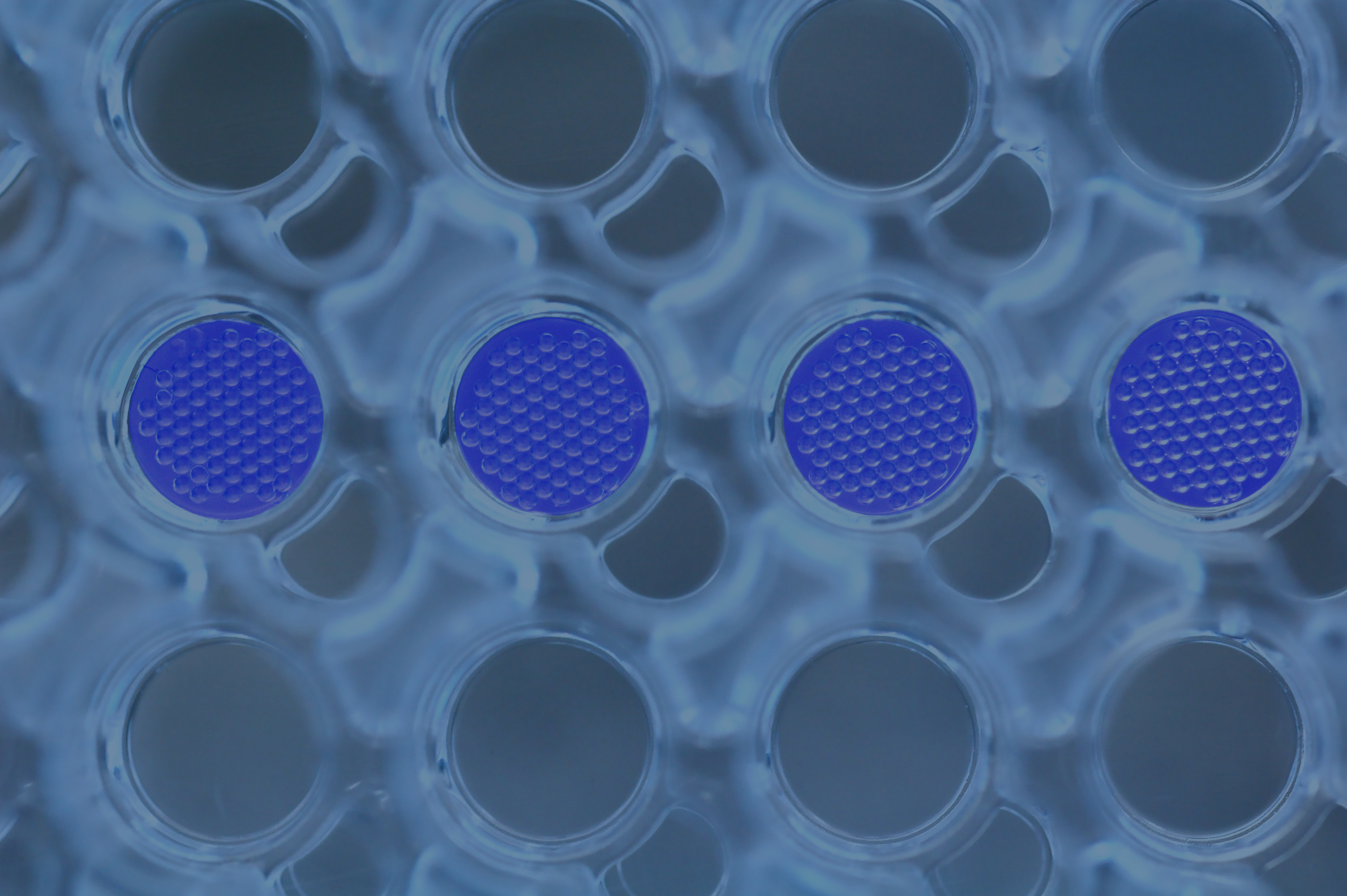 Solution for culturing organoids from stem cells