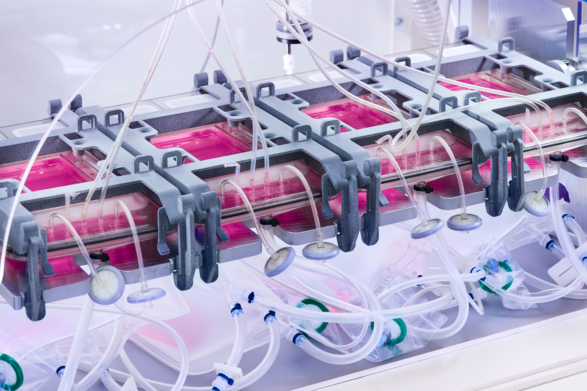 Biovalidation of an automated skin graft system