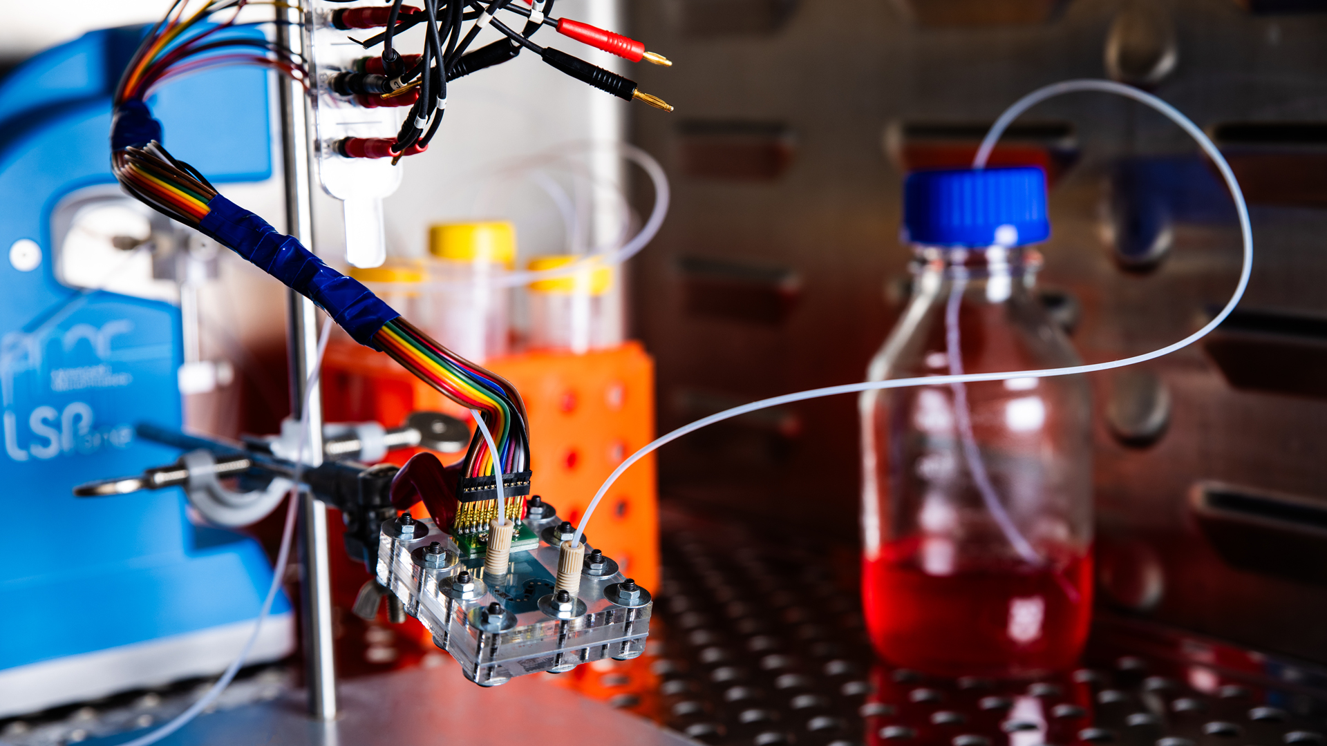 Microfluidic chip for liver cell culture model