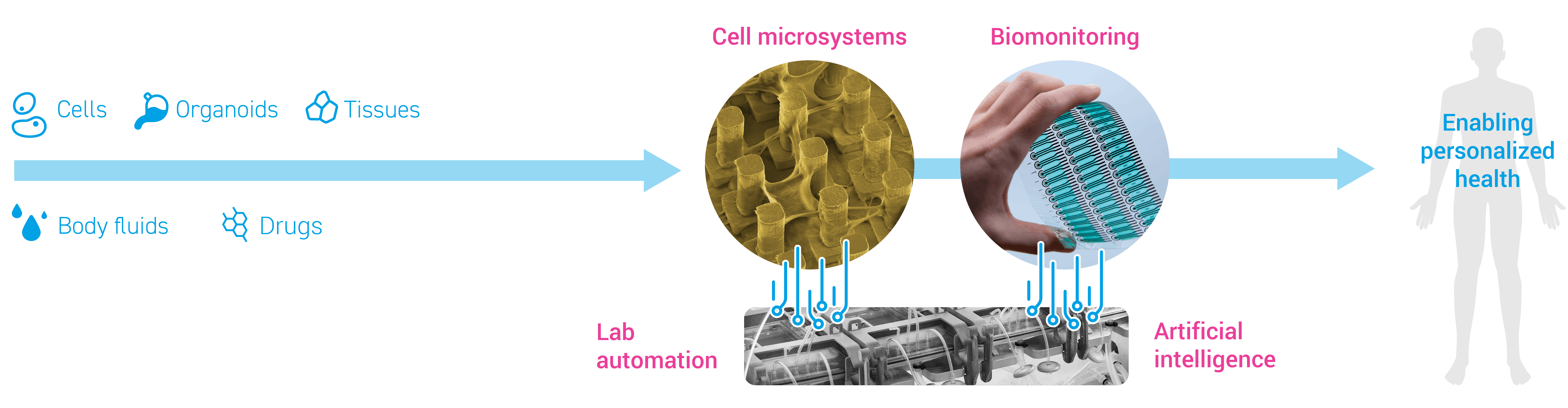 life-sciences-tools-technical-csem