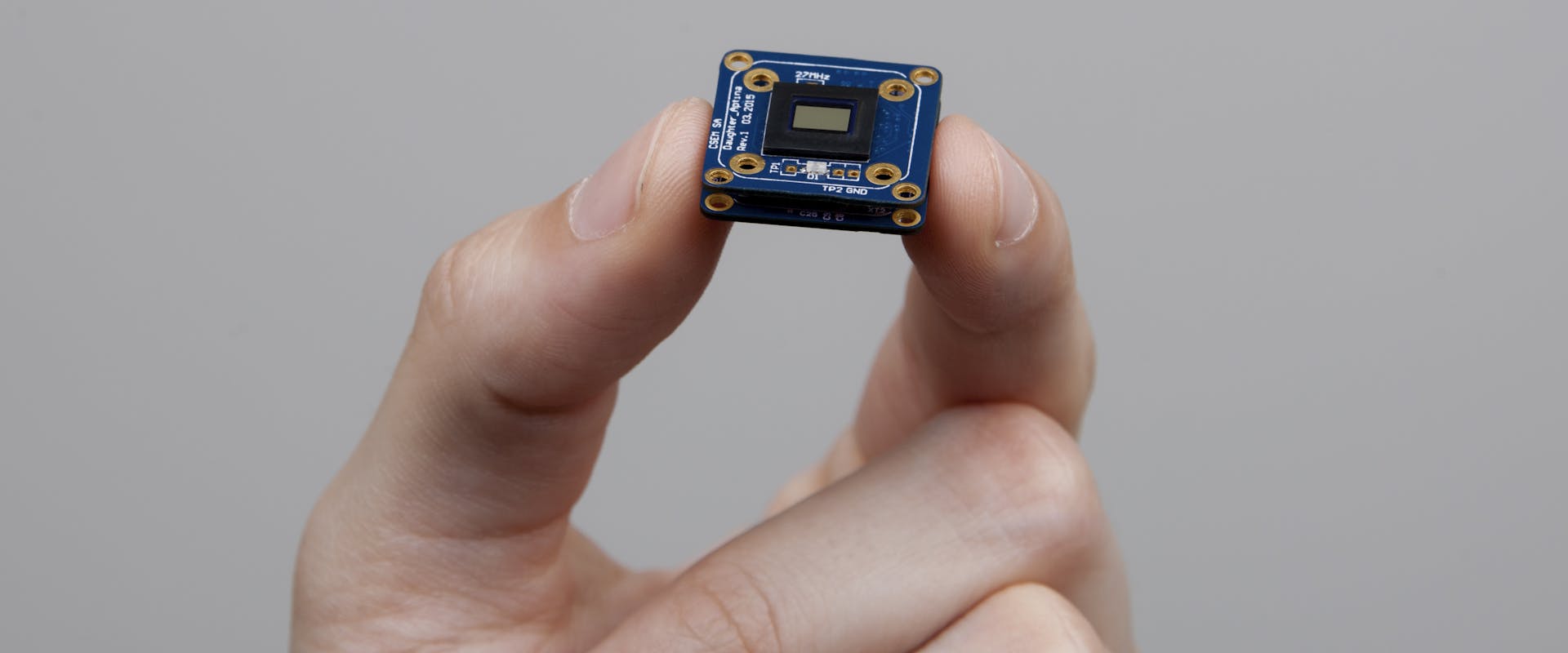 Hand holding a microchip