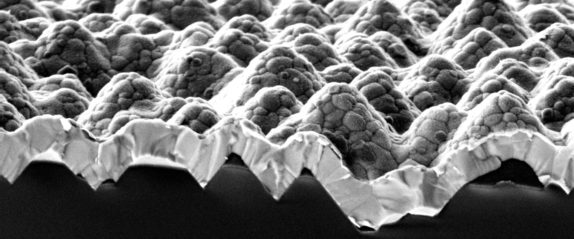 Electron microscopy image of the front side of the high-efficiency perovskite-on-silicon tandem solar cells