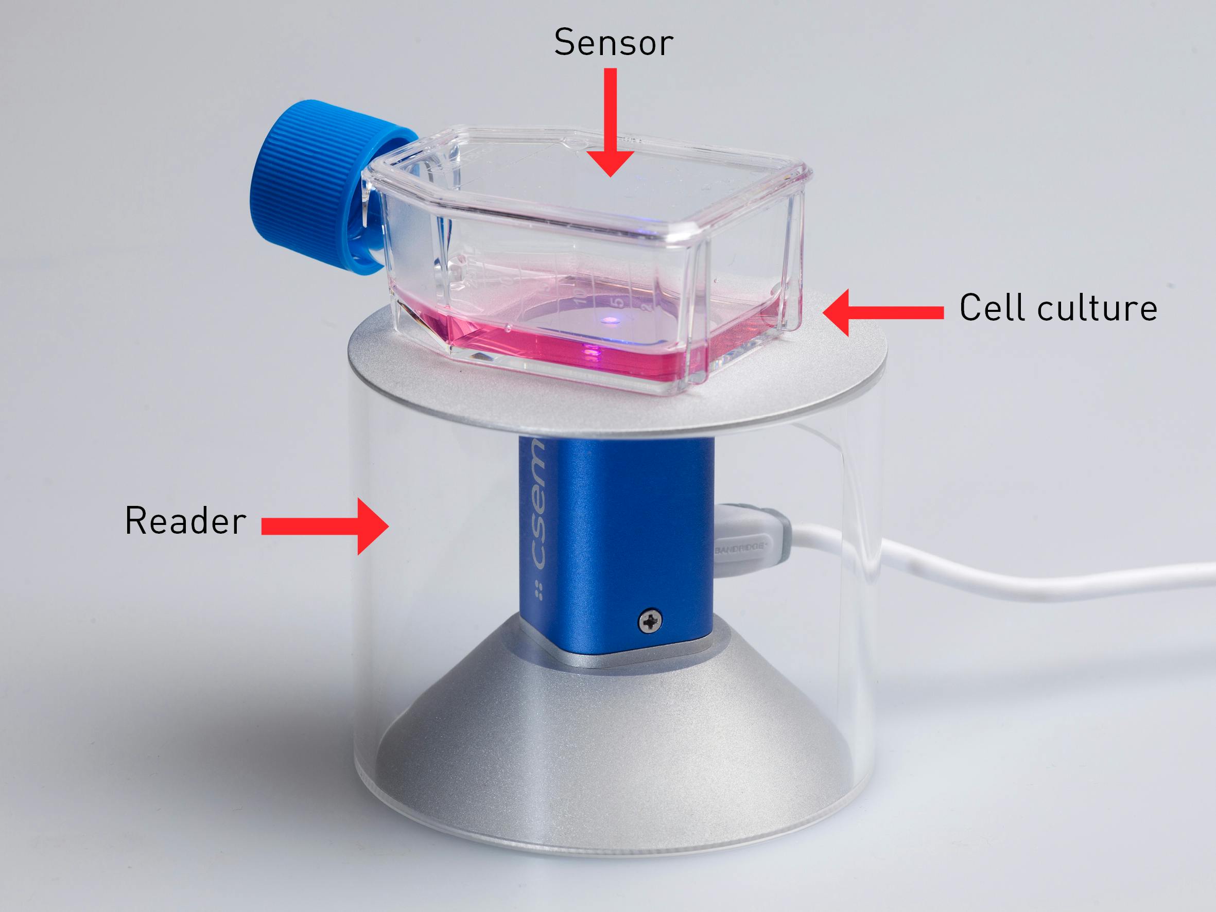 DEMOX reader equipped with fully integrated, miniaturized optics and electronics; and DEMOX sterile sensor for non-invasive, optical reading in a cell culture.
