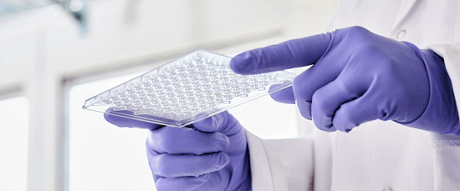 Scientist wearing purple gloves