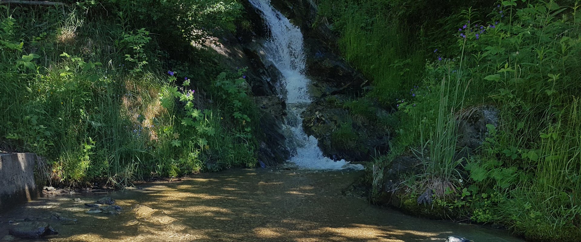 Vue sur une petite cascade de montagne