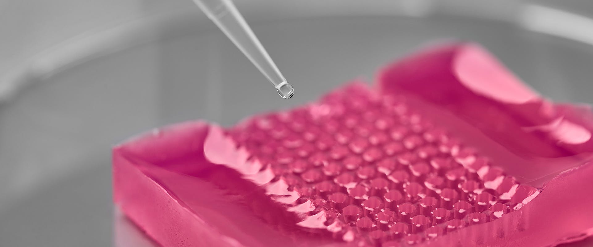 HistoBrick: a textured hydrogel-based plate enabling sectioning of 96 micro-tissue arrays throughout the paraffin-embedding histology process.