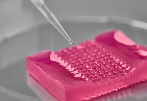 HistoBrick: a textured hydrogel-based plate enabling sectioning of 96 micro-tissue arrays throughout the paraffin-embedding histology process.