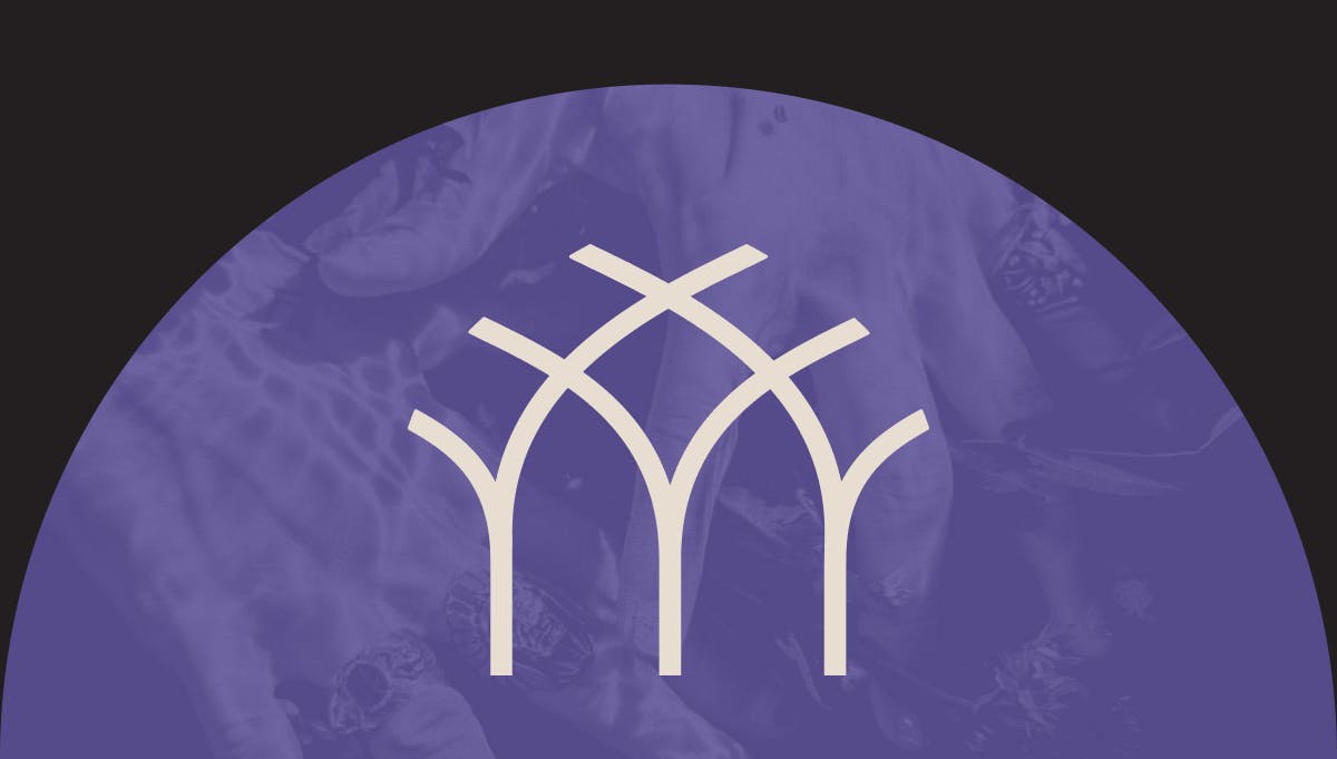 Thumbnail of cthdrl — digital design and experience studio