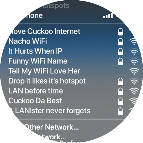 Wifi names
