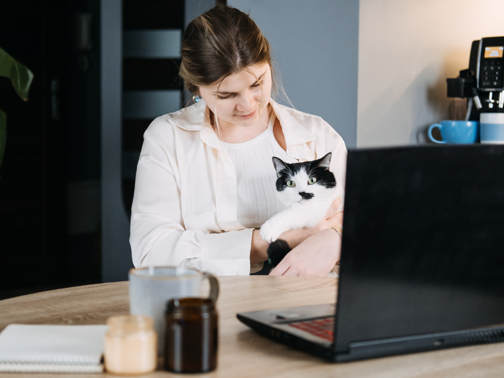 A lady and a cat sit by the computer talking to a virtual vet