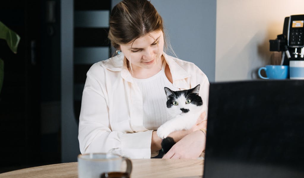 A lady and a cat sit by the computer talking to a virtual vet