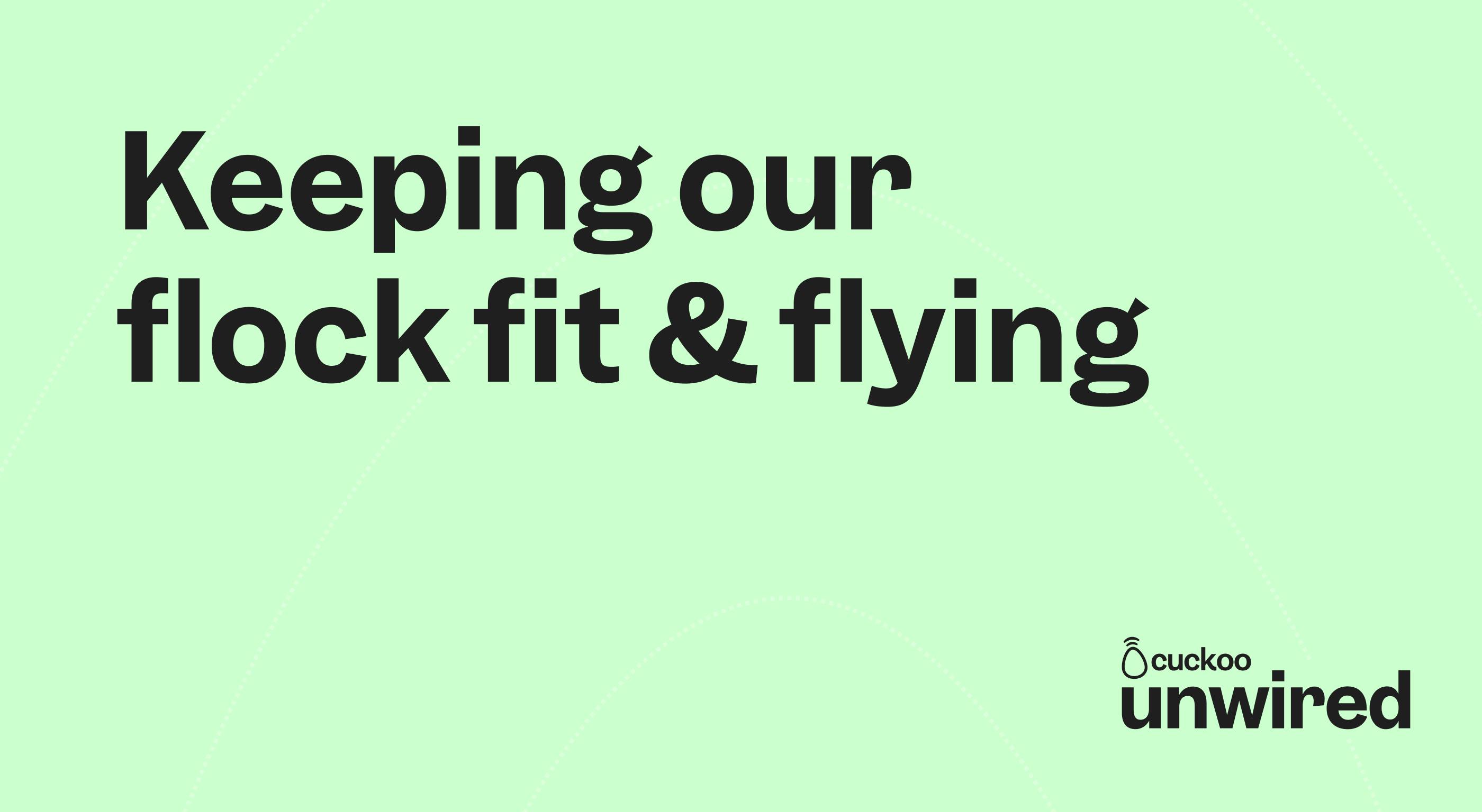 Keeping our flock fit and flying