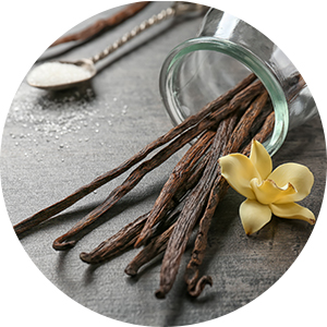 Gousses de vanille