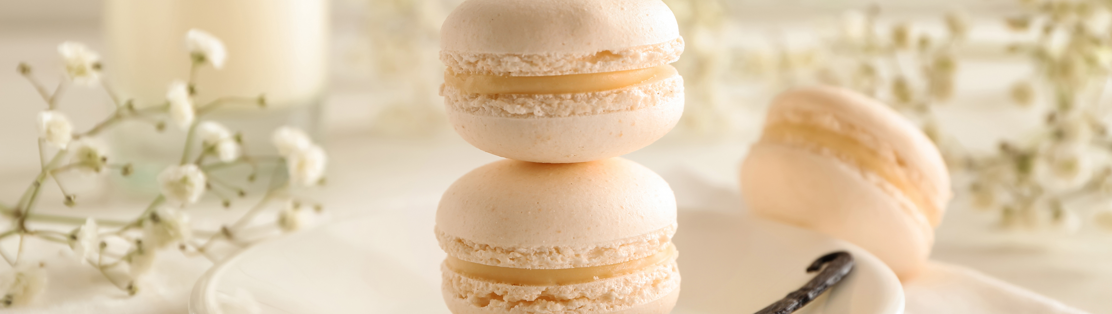 Macarons vanille basilic