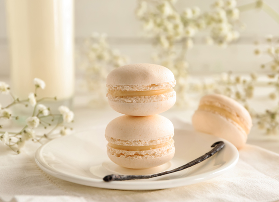 Macarons vanille basilic