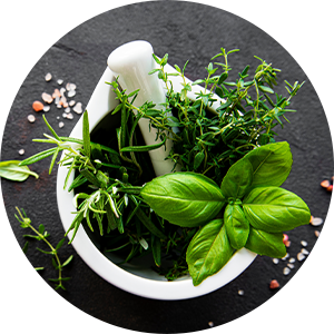 herbes aromatiques