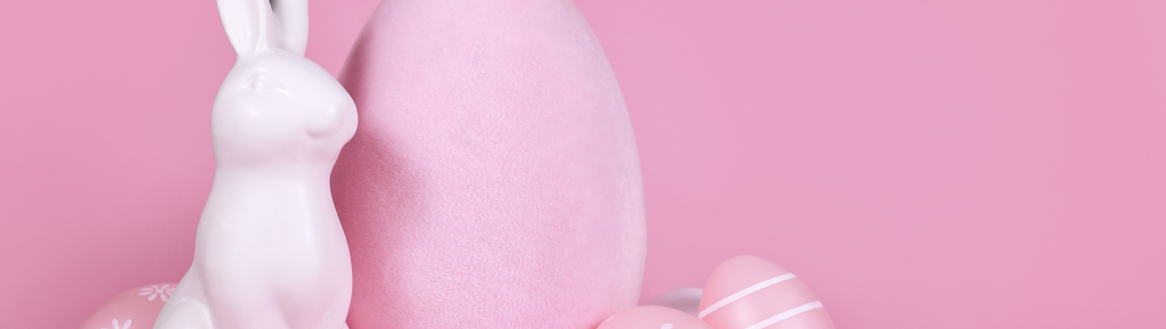 Bunny cake framboise