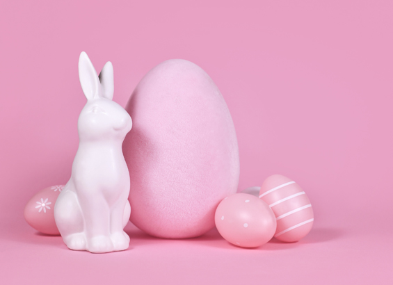 Bunny cake framboise