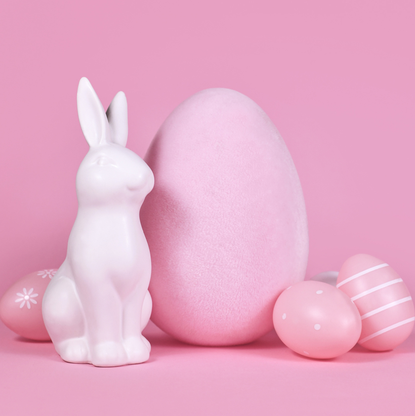 Bunny cake framboise