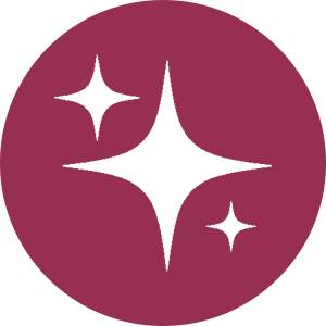 Pastille entretien santoku