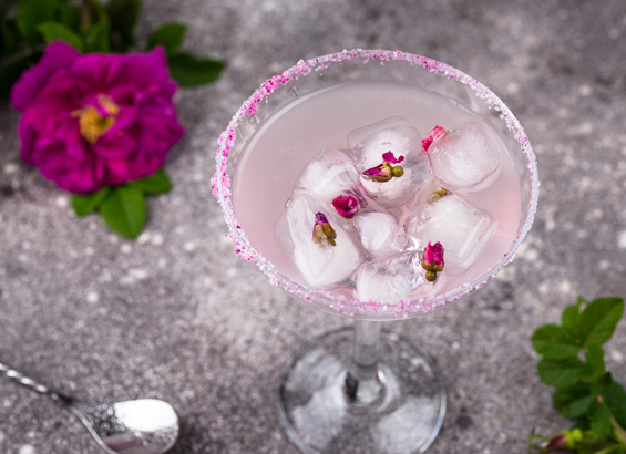 Cocktail Prosecco rose et fleur de sureau