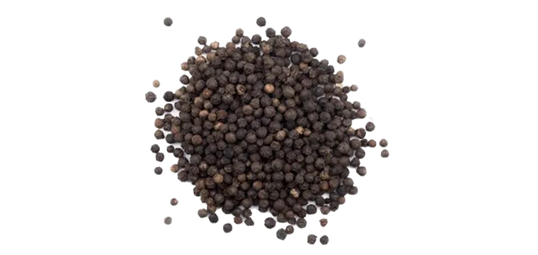 Grains poivre noir de Malabar