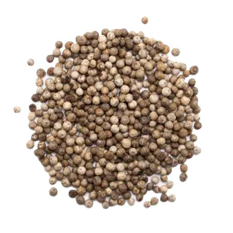 Pastille Poivre Blanc