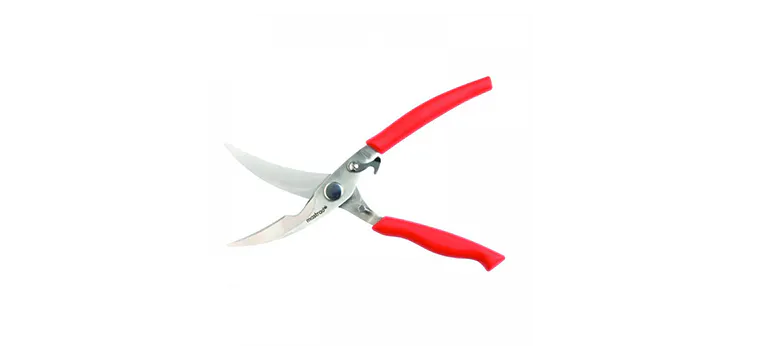 Ciseaux à Pizza en inox rouge Mastrad