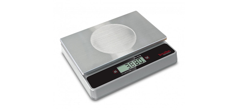 Balance Professionnelle 15 kg Pro 15 Terraillon