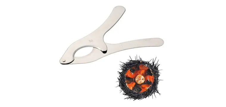 Coupe Oursin en Inox