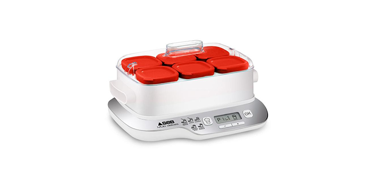 Yaourtière 6 pots Multi Délices Express Compact 450 W SEB