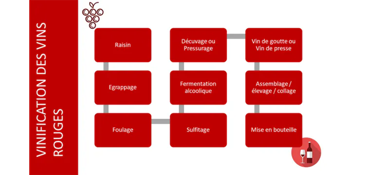 Processus de vinification des vins rouges